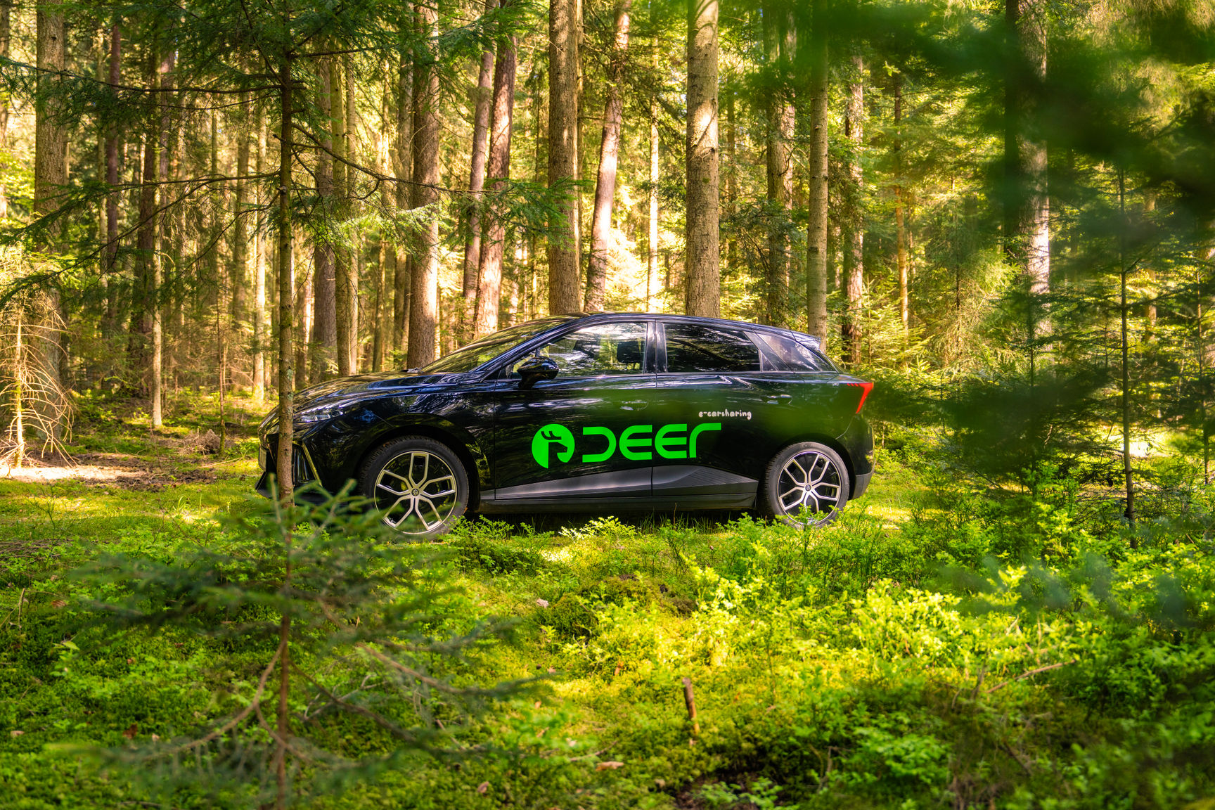 Fahrzeug der deer carsharing company Elektromobilität